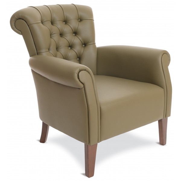 Lizard Tekli Ofis Kanepesi